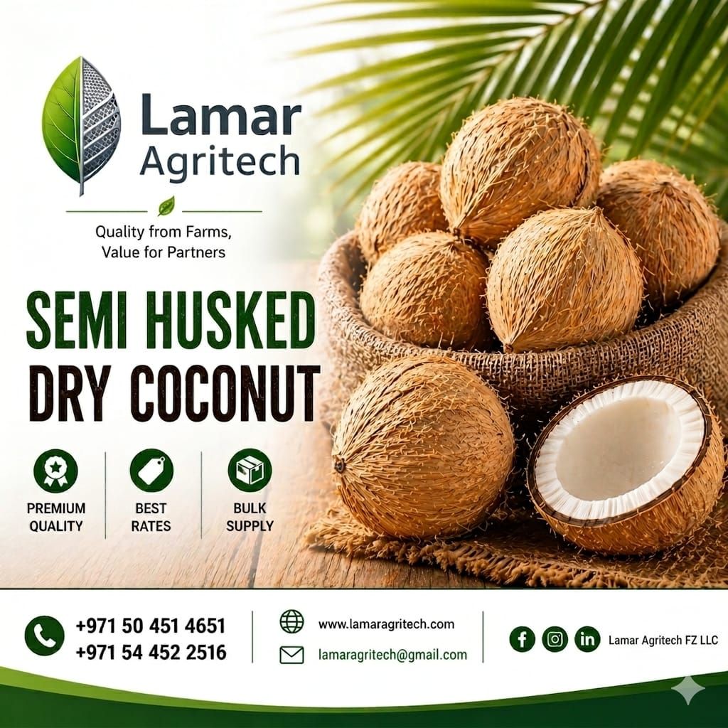 Semi Husked Dry Coconut