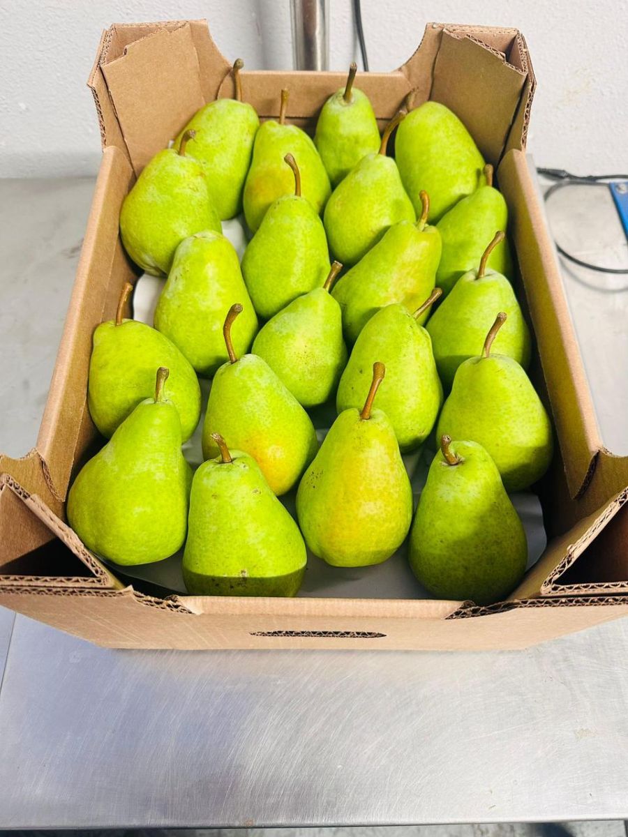 🍐 Pears