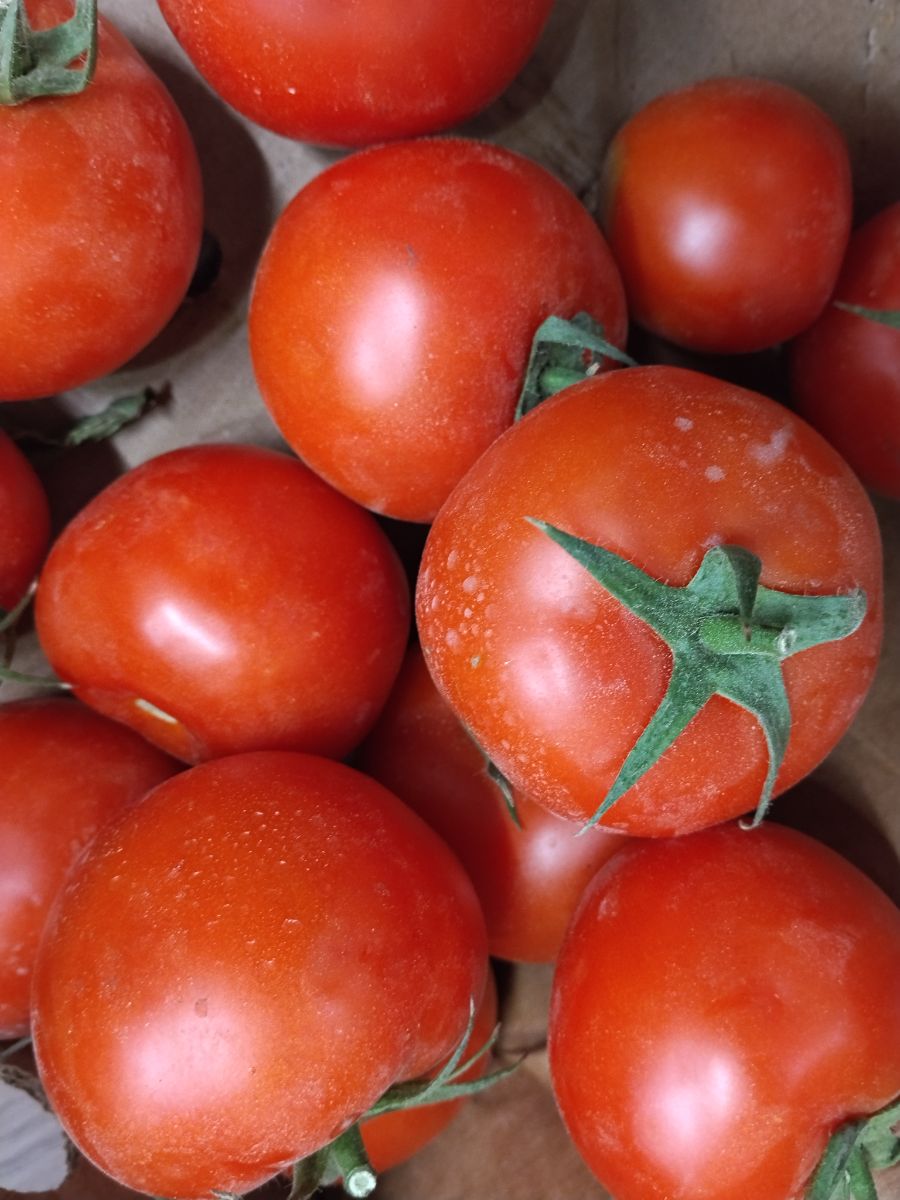 Fresh local Tomato