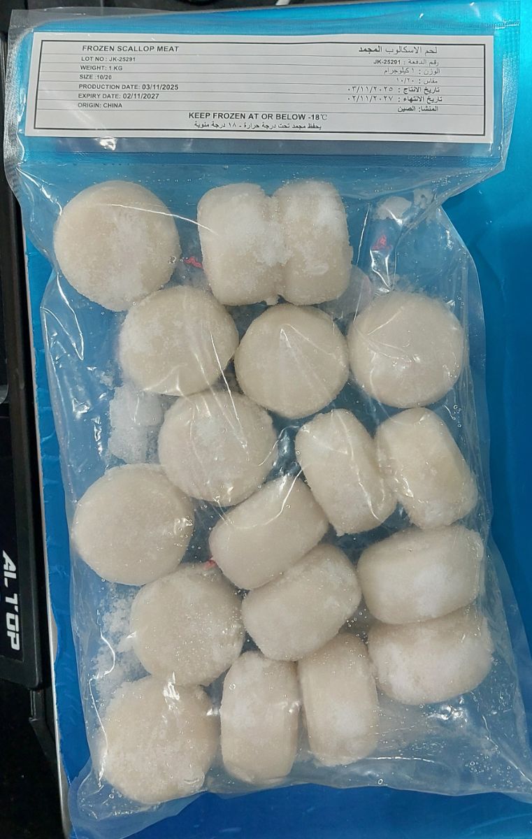 Scallops 