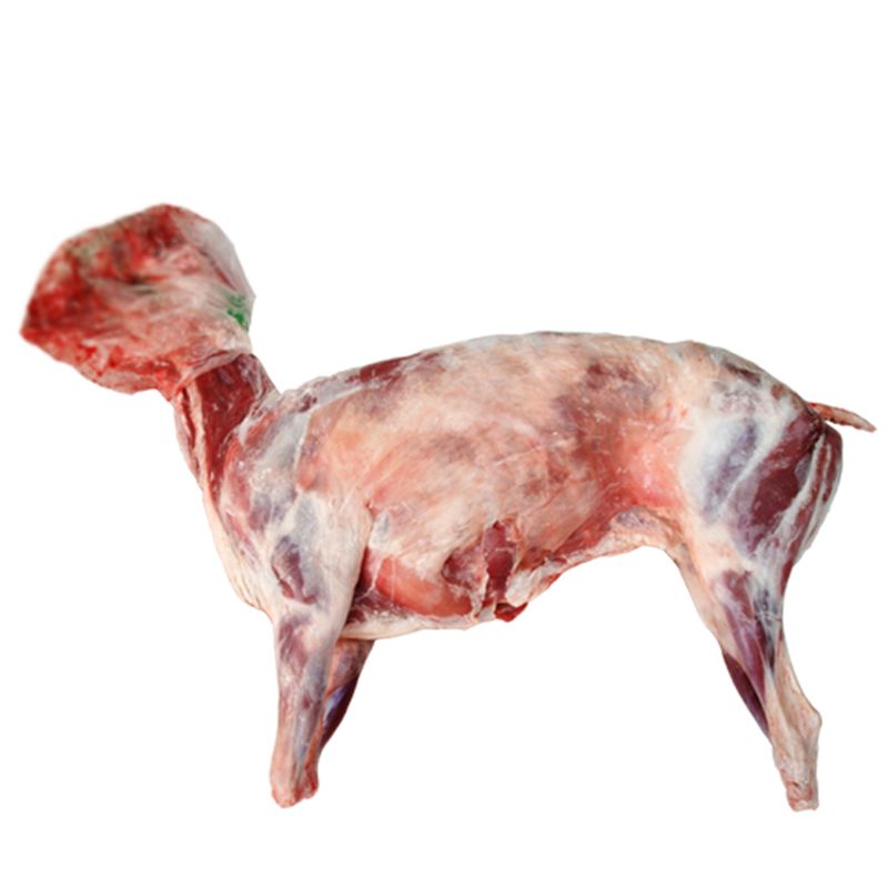  permium china Huan county lamb carcass