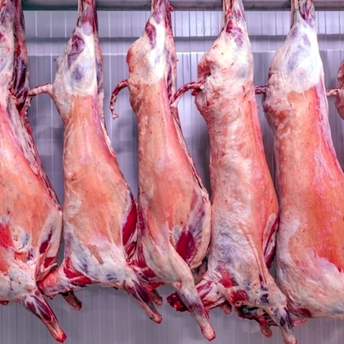 Fresh Whole Indian Mutton