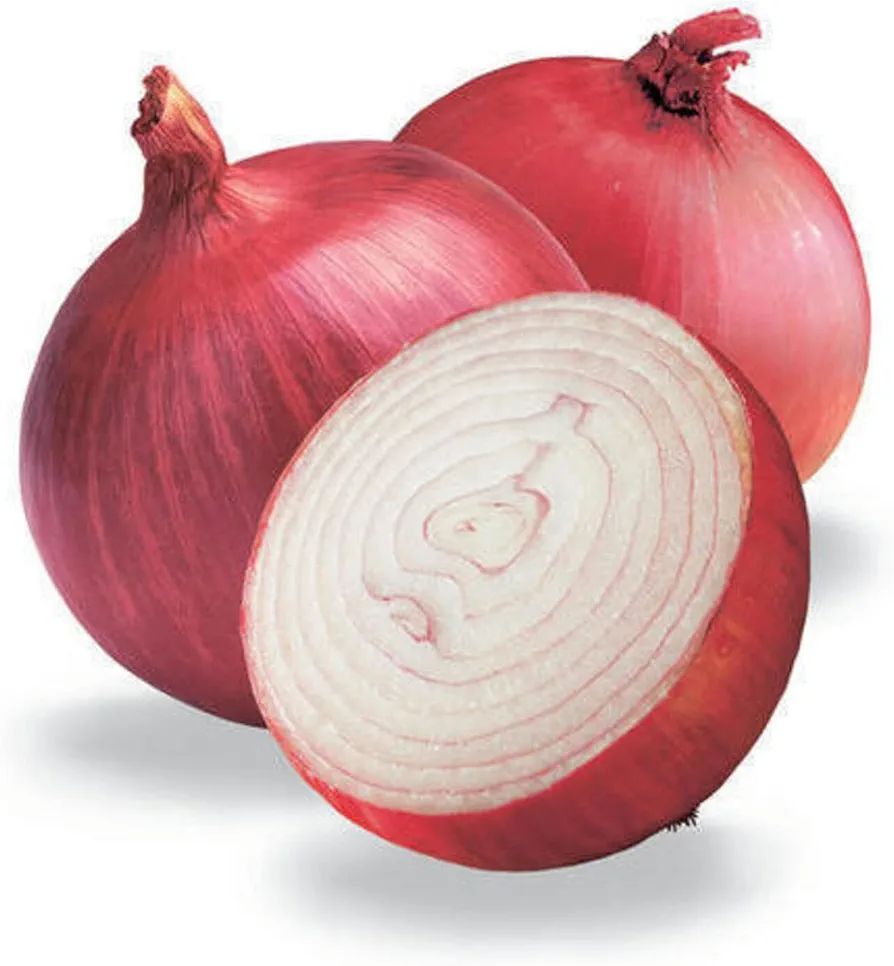 India onion 