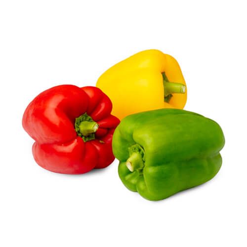 Capsicum Red green and Yellow 