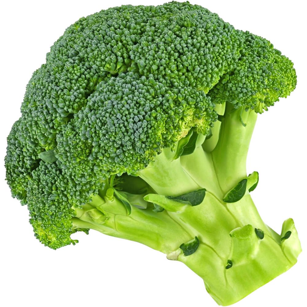 Broccoli 