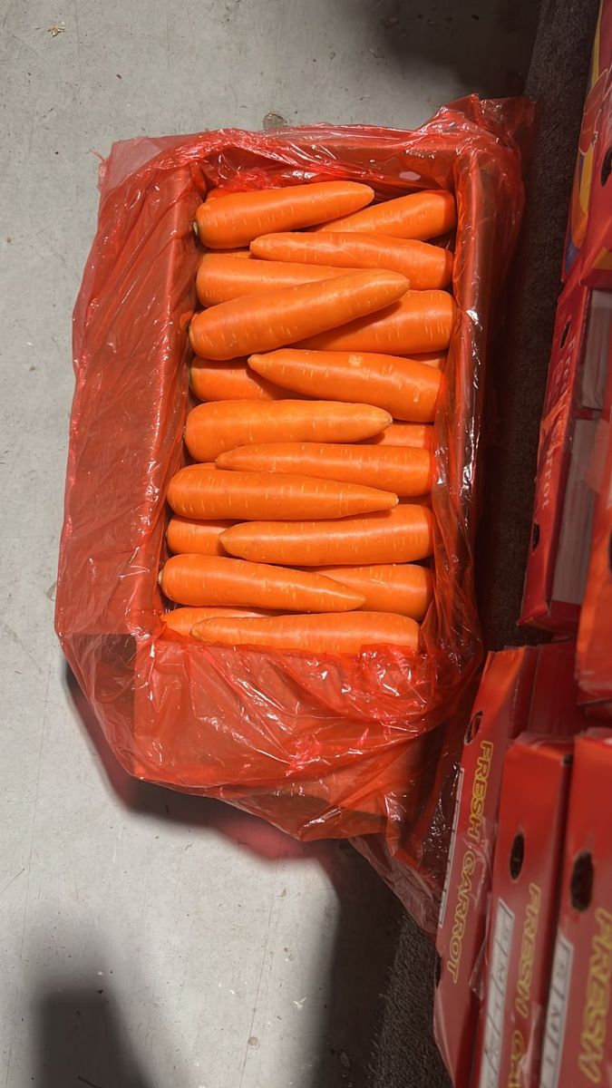 Carrot 