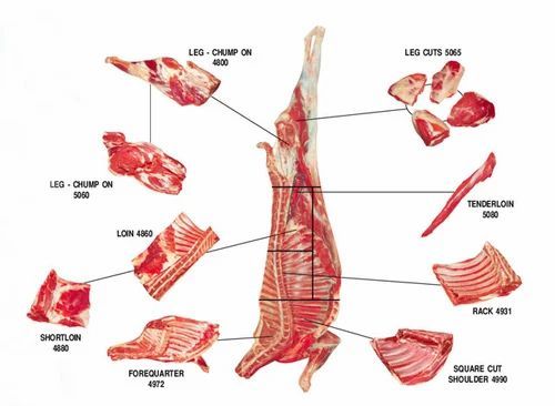 Fresh Whole Mutton 