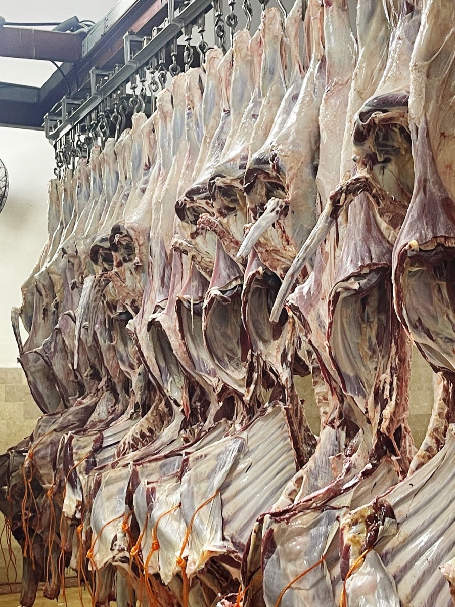 CHILLED BEEF CARCASS (Pakistan)