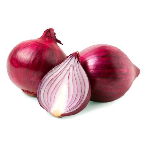 FRESH ONION INDIA