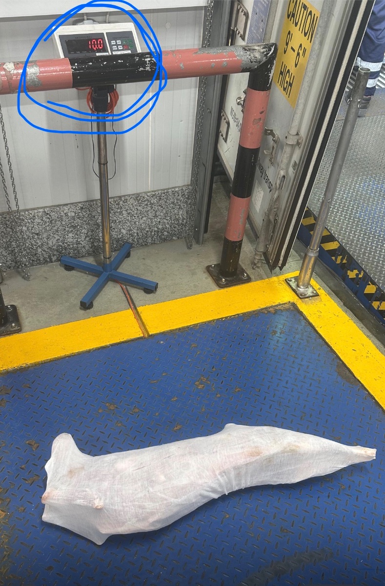 Fresh Goat Whole Carcass