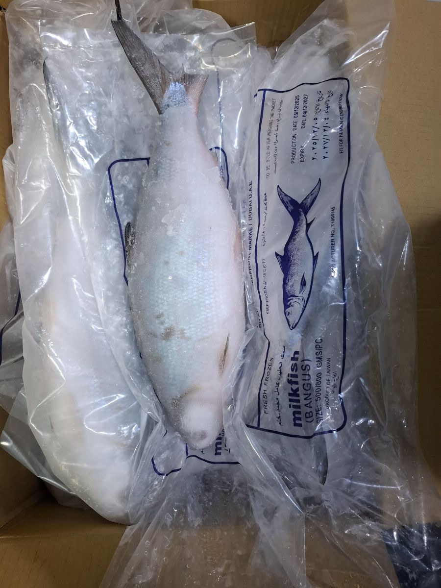 Milkfish Frozen