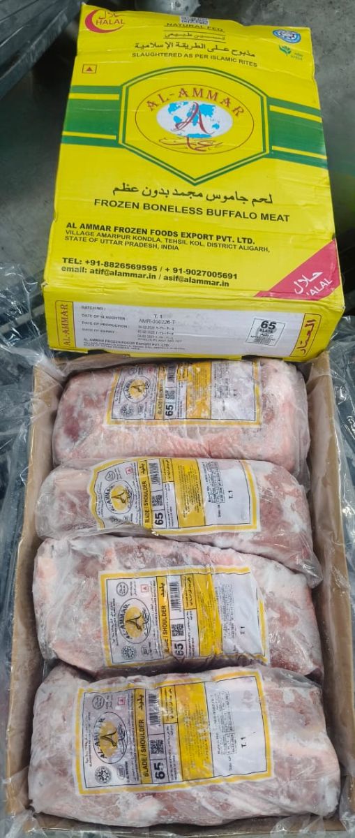 INDIAN Blade/Shoulder